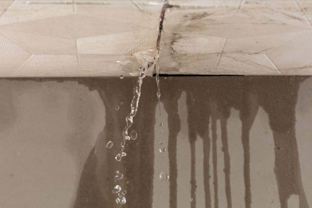 Professional Water Damage Repair technician working in Grawn, MI